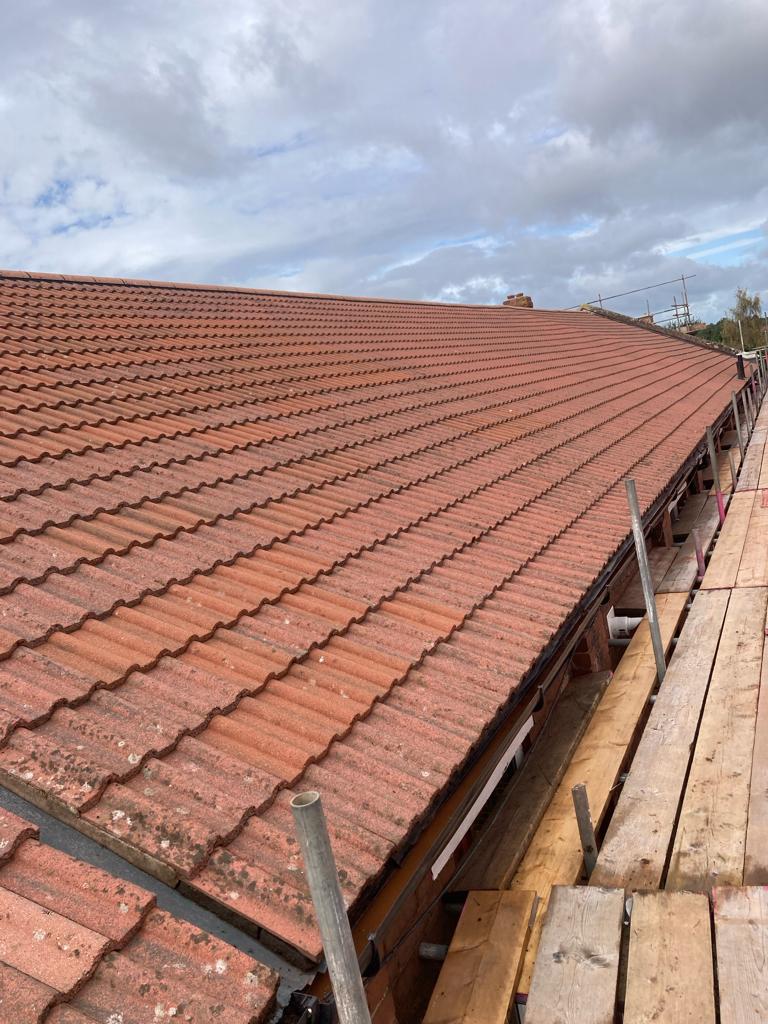 Roof cleaning Service