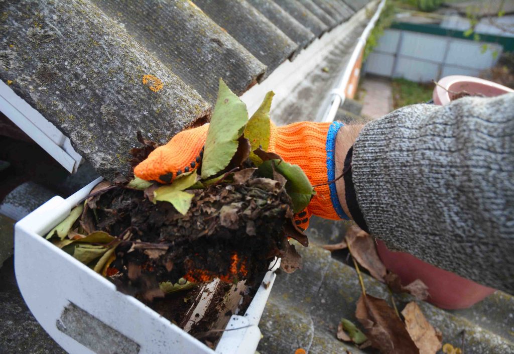 Gutter cleaning service in Hereford