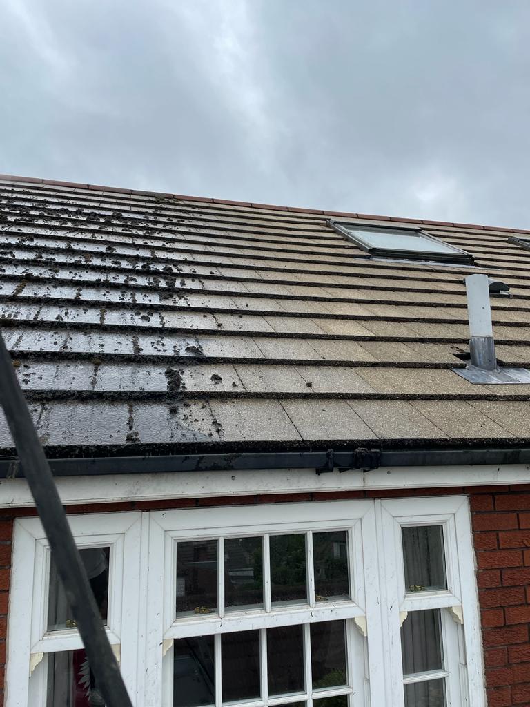 How to clean a roof