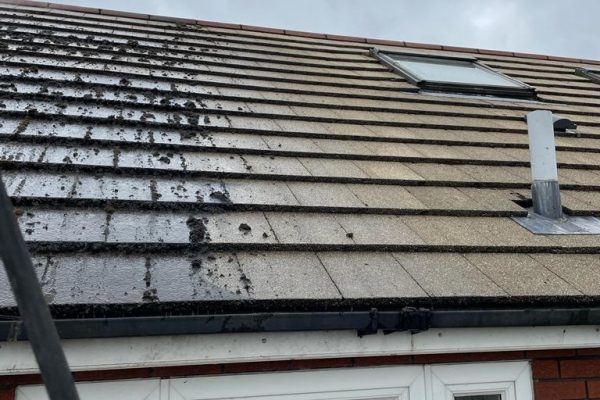 Tip Top Surfaces Ltd