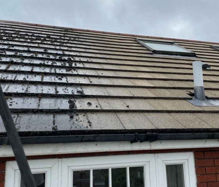 Tip Top Surfaces Ltd