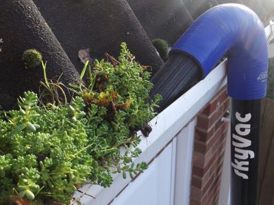 Moss removal company Hereford