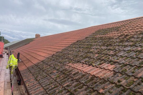Roof Cleaning Portfolio