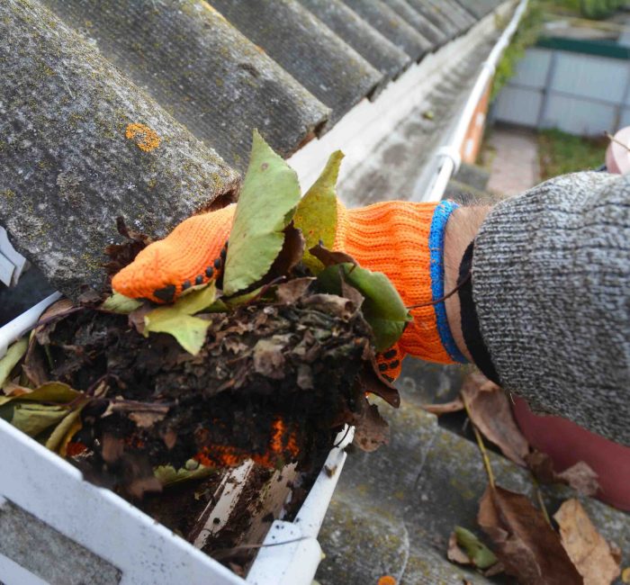 Gutter cleaning service in Hereford